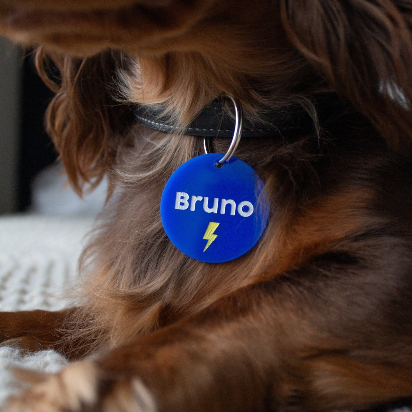 Circle Personalized Pet ID