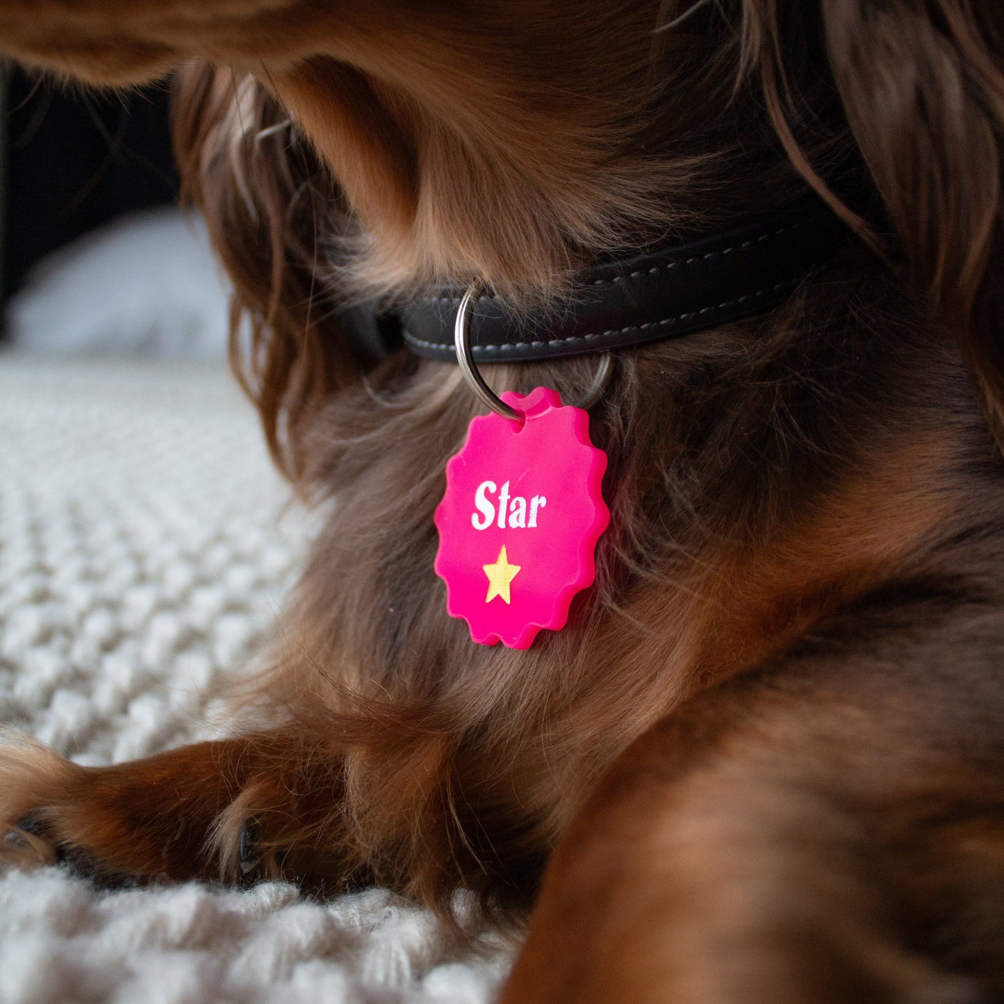 Wavy Personalized Pet Tag